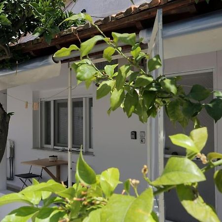 Stamatis Apartment Ágios Geórgios Extérieur photo